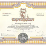 Сертификат Ольги Козловской